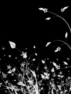 564_186.gif